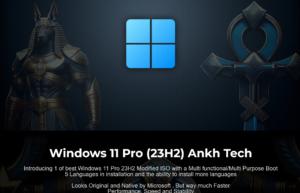 Windows 11 Pro Lite 23H2